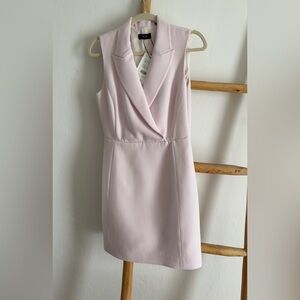 Theory Pale Pink  Dress
